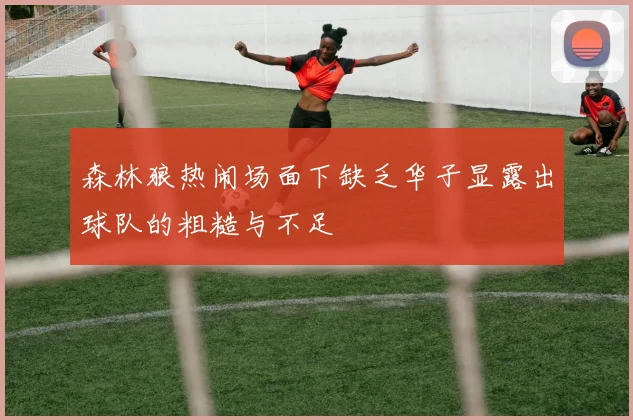 森林狼热闹场面下缺乏华子显露出球队的粗糙与不足
